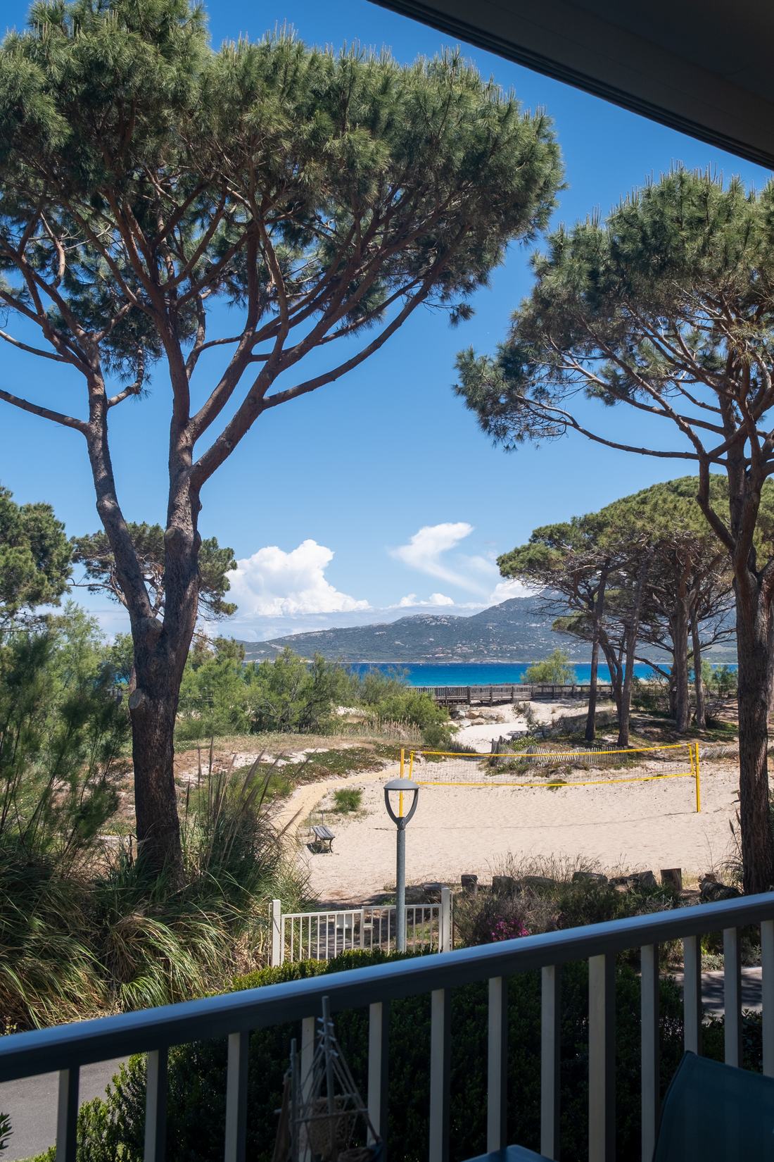 Blick vom Balkon durch Pinien aufs Meer
