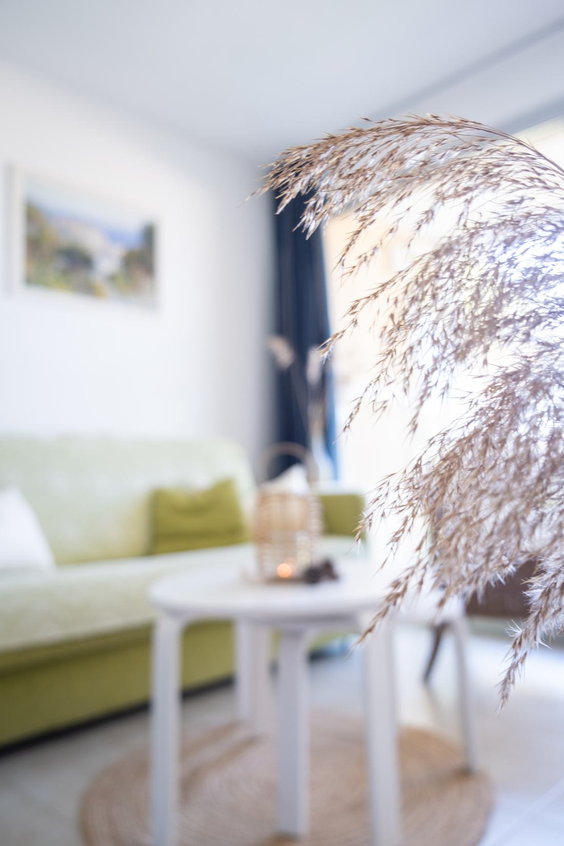 Wohnzimmer mit Gräsern