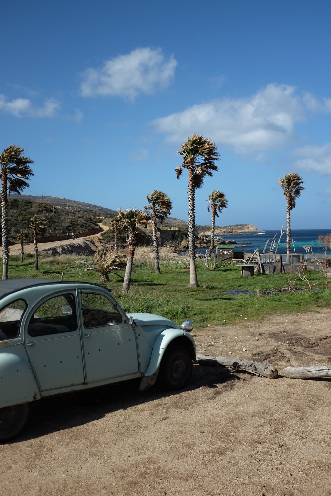 Alter Citroën 2CV unter Palmen an der Küste