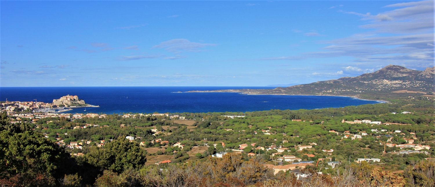 Die Bucht von Calvi mit Pinienwald von oben