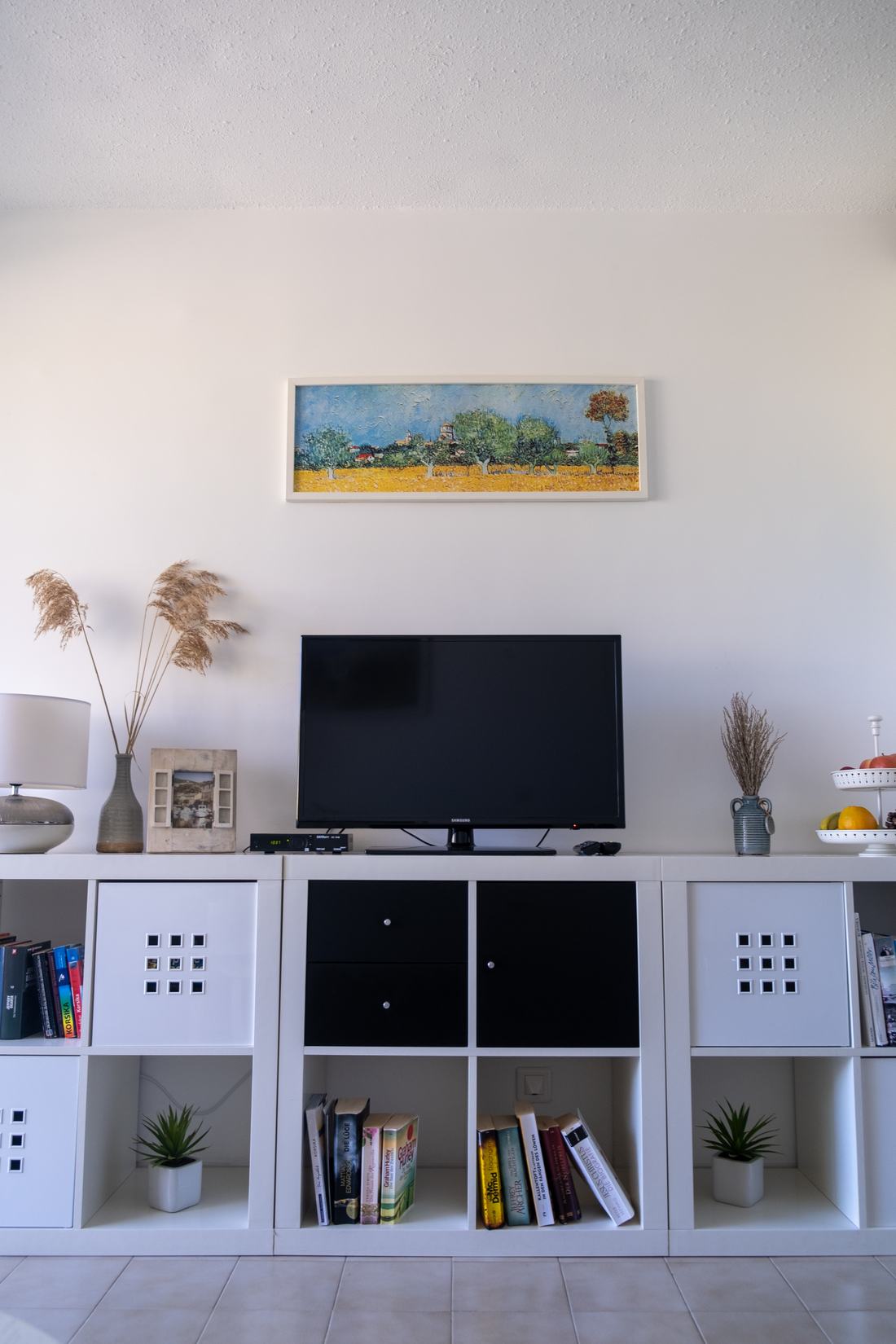 Regal mit Fernseher und Büchern